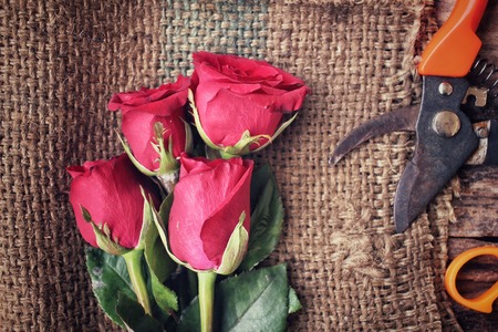Woman making bouquet with red roses flowerの写真素材