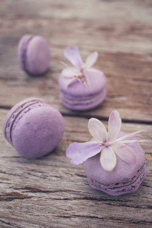 French macaroons with purple flowersの写真素材