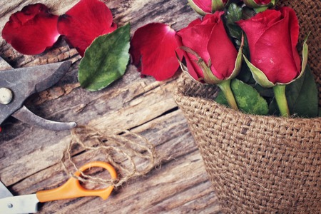 Woman making bouquet with red roses flowerの写真素材