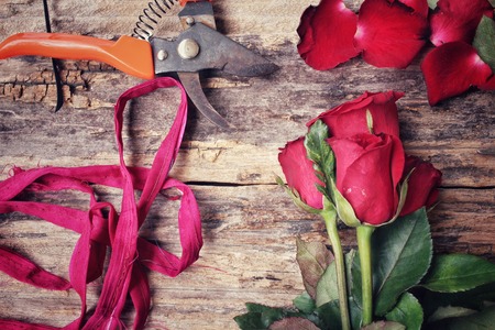 Woman making bouquet with red roses flowerの写真素材