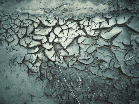 Cracked dry soilの写真素材