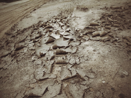 Cracked dry soilの写真素材