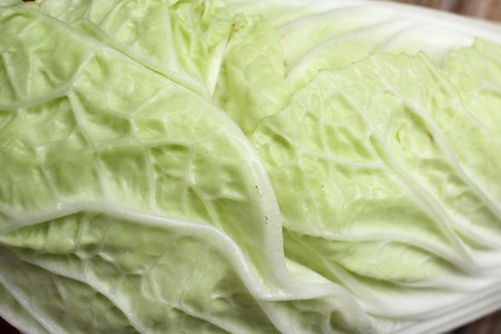 Chinese cabbageの写真素材