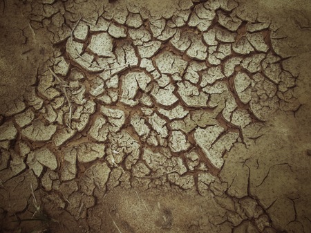 Cracked dry soilの写真素材