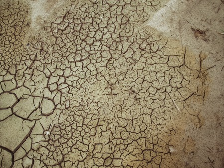 Cracked dry soilの写真素材