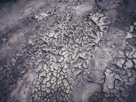 Cracked dry soilの写真素材