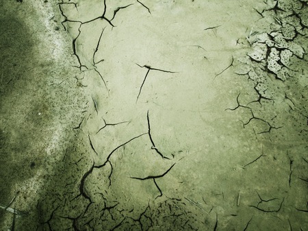 Cracked dry soilの写真素材