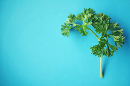 Fresh parsley