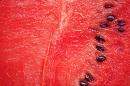 Watermelonの写真素材