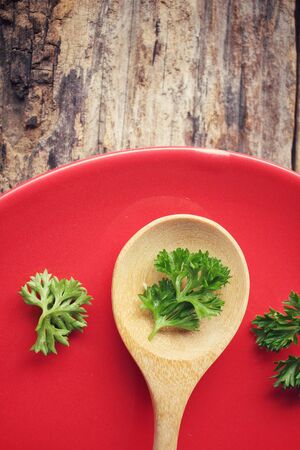 Fresh parsleyの写真素材