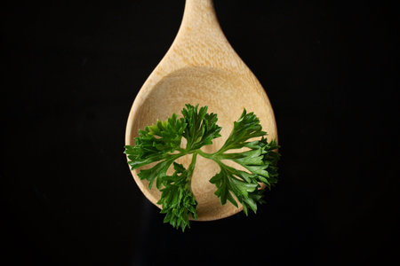 Fresh parsleyの写真素材