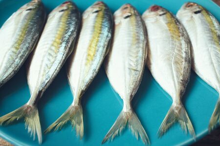 Fresh raw fishの写真素材