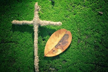 Cross with leafの写真素材