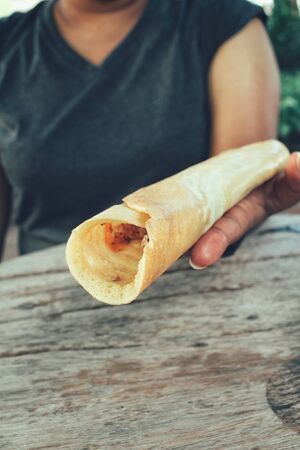 Masala dosa indian foodの写真素材