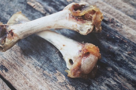 Chicken bonesの写真素材