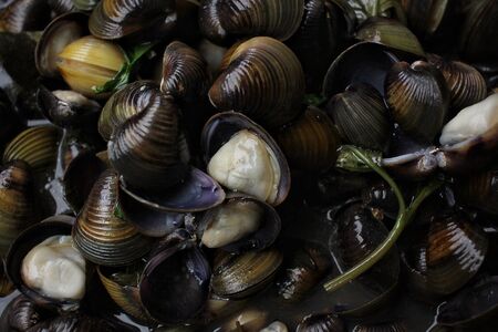 Fried clamsの写真素材