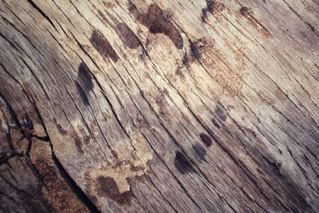 Stain of waterの写真素材