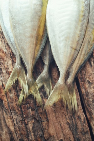 Fresh raw fishの写真素材