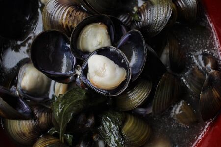 Clams soupの写真素材