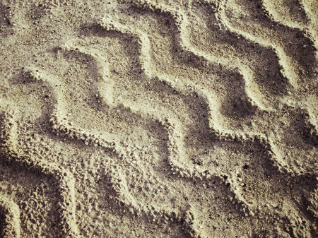 Wheel tracks on the soil.