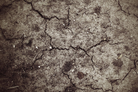 Cracked dry soil