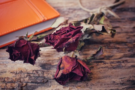 Dried red roses with bookの写真素材
