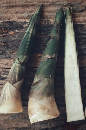 Bamboo shootの写真素材