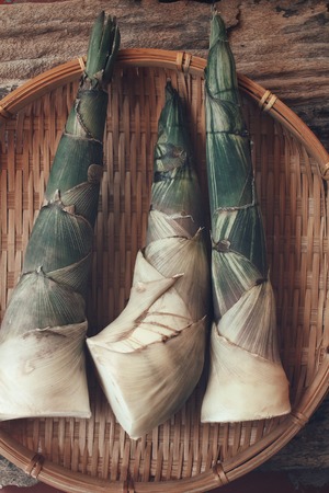 Bamboo shootの写真素材