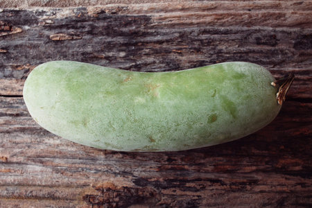 Winter melonの写真素材