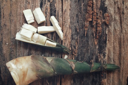 Bamboo shootの写真素材