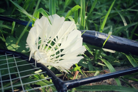 Shuttlecocks with badminton racket.の写真素材