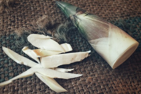 Bamboo shootの写真素材