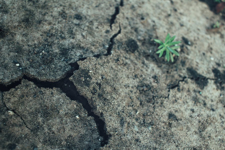 Cracked dry soilの写真素材