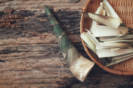 Bamboo shootの写真素材