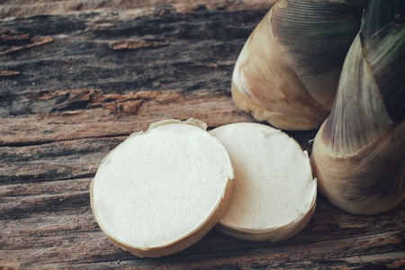 Bamboo shootの写真素材