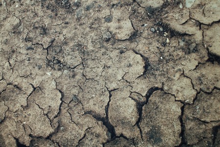 Cracked dry soilの写真素材