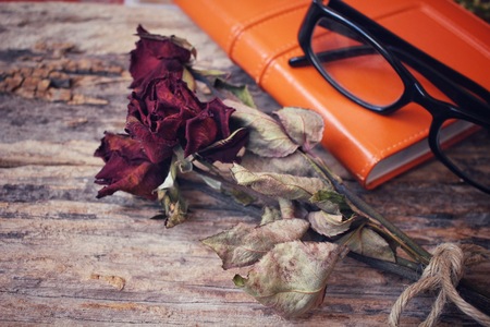 Dried red roses with bookの写真素材