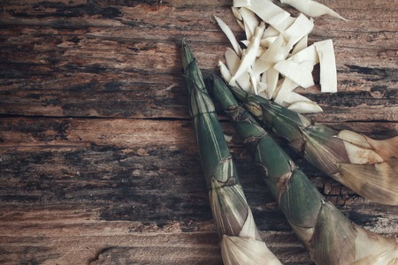 Bamboo shootの写真素材