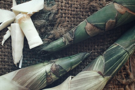 Bamboo shootの写真素材