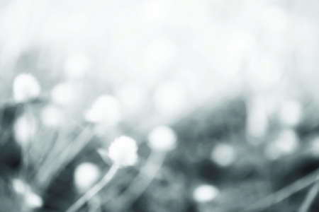 Gray bokeh backgroundの写真素材