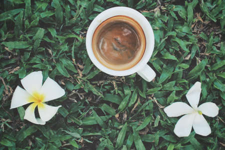 Espresso coffee with frangipani flowersの写真素材