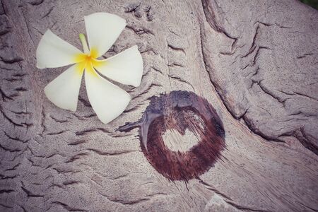 Stain of water with frangipani flowerの写真素材