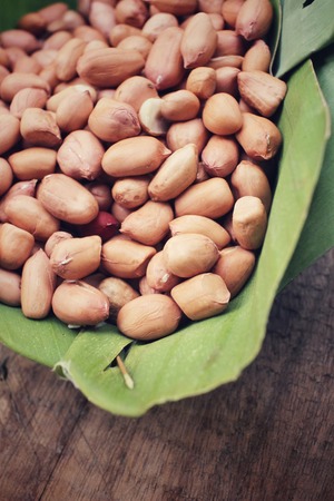 Peanutsの写真素材