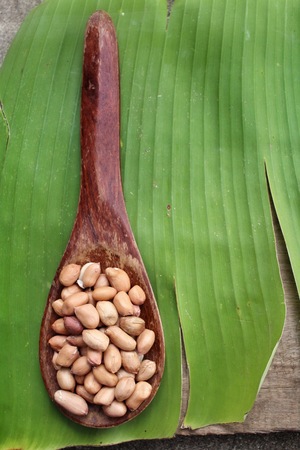 Peanutsの写真素材