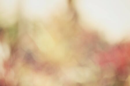 Vintage backgroundの写真素材