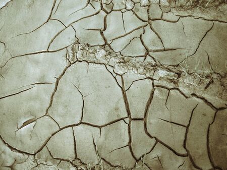 Cracked dry soilの写真素材