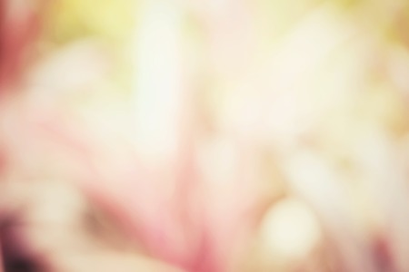 Vintage backgroundの写真素材