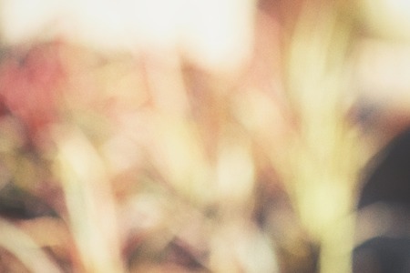 Vintage backgroundの写真素材