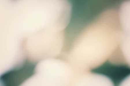 Vintage backgroundの写真素材