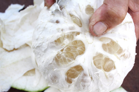 Grapefruit